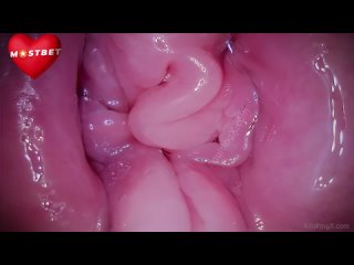 pussy in vagina camera